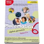 Antohe Florin - Matematica 2000. Algebra, geometrie. Caiet de lucru, pentru clasa a VI-a. Partea a II-a (Consolidare si aprofundare)