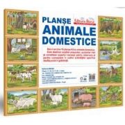 Animale domestice - MAPA - setul contine 10 planse format A3