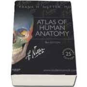 Atlas of Human Anatomy, including studentconsult interactive ancillaries and guides de Frank H. Netter, MD (6th Edition)