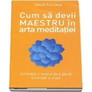 Cum sa devii maestru in arta meditatiei de David Fontana