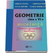 Geometrie clasa a VI-a, excelenta de Mircea Fianu