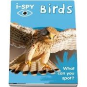 i-SPY Birds: What Can You Spot?