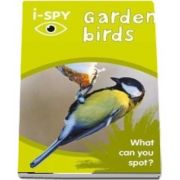 i-SPY Garden Birds: What Can You Spot?