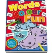 Words Colour Fun: Book 1