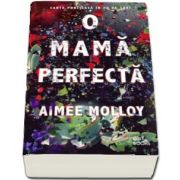 O mama perfecta de Aimee Molloy