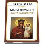 Minunile icoanei Maica Domnului „Cauta la smerenie”