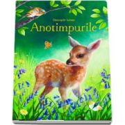 Anotimpurile (Usborne)