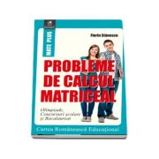 Probleme de calcul matriceal de Stanescu Florin