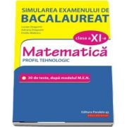 Simularea examenului de bacalaureat. Matematica. Clasa a XI-a. Profil tehnologic. 30 de de teste, dupa modelul M. E. N.