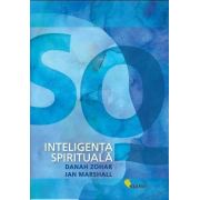 SQ. Inteligenta spirituala