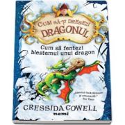 Cum sa-ti dresezi dragonul. Cum sa fentezi blestemul unui dragon