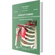 Anatomie. Peretii trunchiului si membrele, lucrari practice