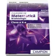 Culegere de matematica pentru clasa a X-a. Profil - M tehnologic