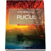 Plicul