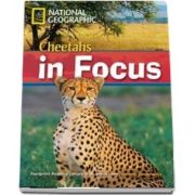 Cheetahs in Focus. Footprint Reading Library 2200. Book