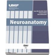 Neuroanatomy