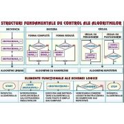 Plansa structuri fundamentale de control ale algoritmilor. Sisteme de numeratie