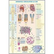 Plansa cu 2 teme distincte. Sistemul circulator la om - Sistemul circulator la animale. Plansa DUO.