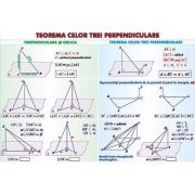 Teorema celor trei perpendiculare. Sfera circumscrisa corpurilor de rotatie. Plansa