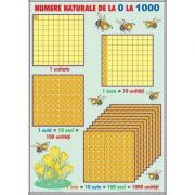 Numere naturale de la 0-1000 - Operatii cu numere naturale. Plansa DUO