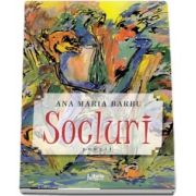 Ana Maria Barbu, Socluri