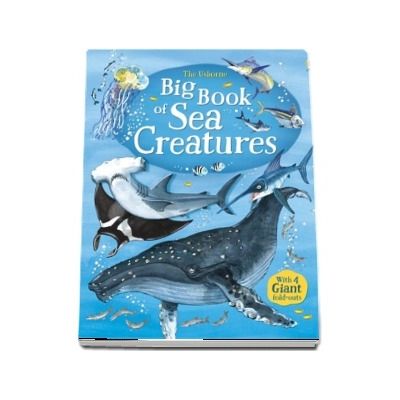 Big book of sea creatures