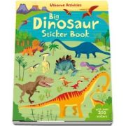 Big dinosaur sticker book