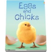 Eggs and chicks