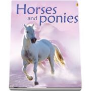Horses and ponies