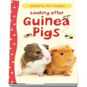 Looking after guinea pigs