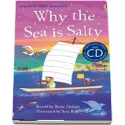 Why the Sea is Salty