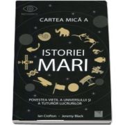 Cartea mica a istoriei mari