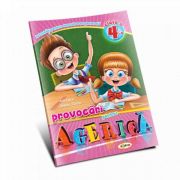 Provocari pentru Agerica. Clasa a IV-a