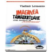 Imaginea tamaduitoare. Curs avansat de „transformare„