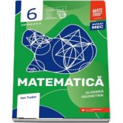 Matematica. Algebra, geometrie. Caiet de lucru. Clasa a VI-a. Initiere. Partea a II-a - Colectia mate 2000+