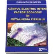 Campul electric intens, Factor ecologic in metalurgia fierului