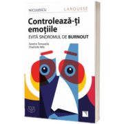 Controleaza-ti emotiile! Evita sindromul de BURNOUT!