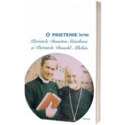 O prietenie intre Parintele Dumitru Staniloae si Parintele Donald Allchin, Demonstene Iancu, Basilica