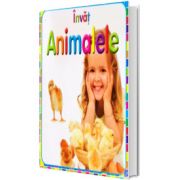 Invat animalele, FLAMINGO JUNIOR