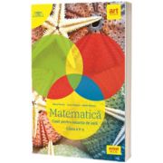 Matematica. Caiet pentru vacanta, clasa a V-a, Marius Perianu, ART GRUP EDUCATIONAL