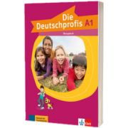 Die Deutschprofis A1. Ubungsbuch