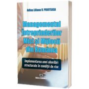 Managementul Intreprinderilor Mici si Mijlocii din Romania: Implementarea unei abordari structurate in conditii de risc