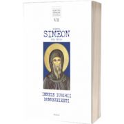 Sfantul Simeon Noul Teolog - Imnele iubirii dumnezeiesti, volumul VII