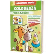 Coloreaza primele jucarii. Autocolante model