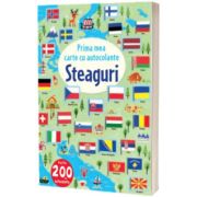 Steaguri. Prima mea carte cu autocolante