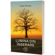 Lumina din inserare