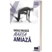 Marea amiaza. Studii si eseuri despre Nietzsche