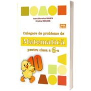 Culegere de probleme de matematica - PUISORUL - pentru clasa a VI-a. Editie 2023