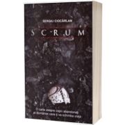 Scrum. O carte despre copii abandonati ai Romaniei care-ti va schimba viata