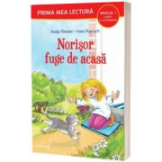 Norisor fuge de acasa (Nivelul 1 Carte cu pictograme)